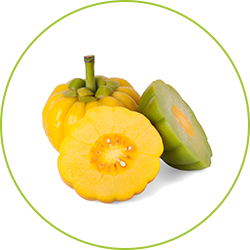 3 garcinia cambogia superfood mot en vit bakgrund