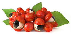 Vad är guarana