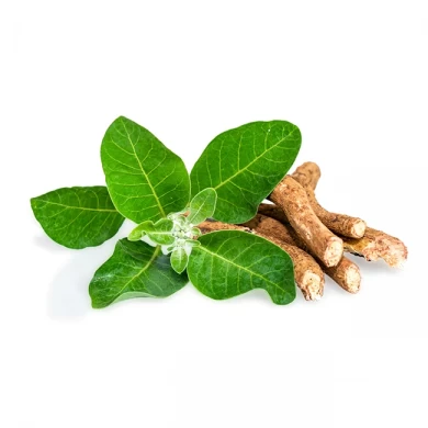 Ashwagandhas potential att förbättra fokus