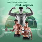 Tre bilder på en stark man där 2 bilder visar när han tränar för att mena att CLA kapslarna har en fördel med träning