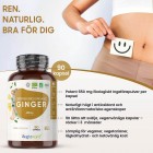 Bilden visar en burk av WeightWorlds Ingefära kapslar till vänster och en mage med en glad streckgubbe uppe i höger, samt text på vad produkten ger dig i styrka och annat.