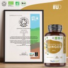 En bild på ett certifikat och en burk av WeightWorlds Ingefära kapslar som visar att produkten är certifierad