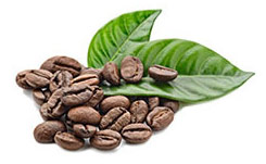 kaffebönor kaffebönor